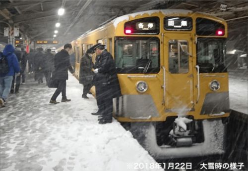 超市抢空 学校停课 电车 高速停运 全都因为东京要下雪了